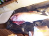 thumb_DSC02368.jpg